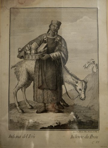 Racçolta di Stampe che representano Figure e Abiti di varie … | Immagine principale