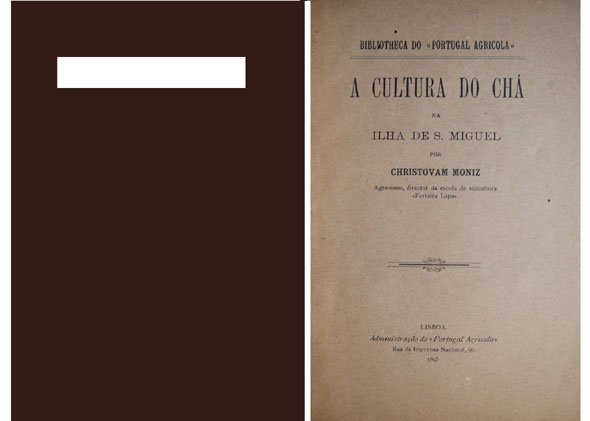A cultura do Chá na Ilha de São Miguel.