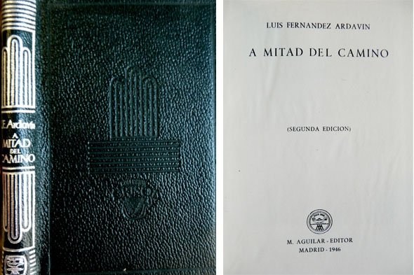 A mitad del camino. Selección de poesías.