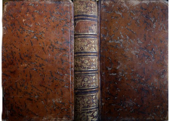 Abregé de l'Histoire Romaine. Traduction nouvelle, avec des notes, par …