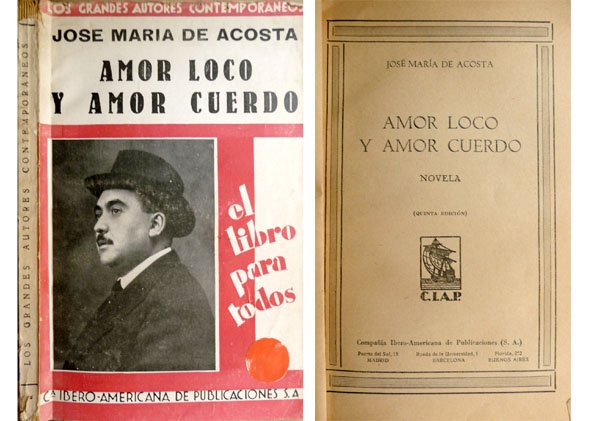 Amor loco y amor cuerdo. Novela. | Immagine principale