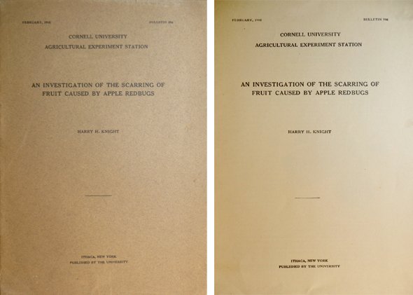 An investigation of the scarring of fruit caused by apple …
