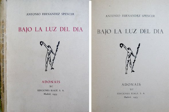 Bajo la luz del dia. Poemas.