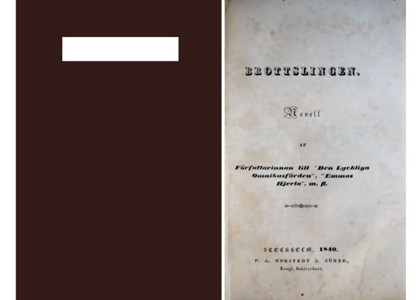 Brottslingen. Novell. Af författarinnan till "Den lyckliga omnibusfärden" , "Emmas …
