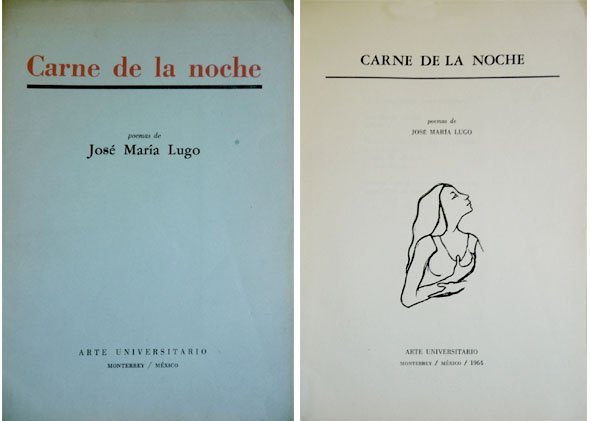 Carne de la Noche. Poemas.