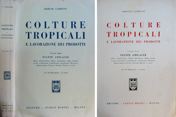 Colture Tropicali e Lavarazione dei Prodotti. VI: Piante Amilacee.