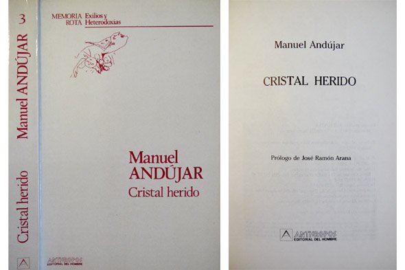 Cristal herido. Prólogo de José Ramón Arana.