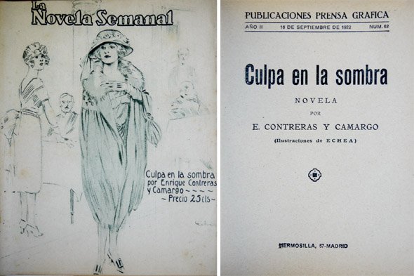 Culpa en la sombra. Novela.