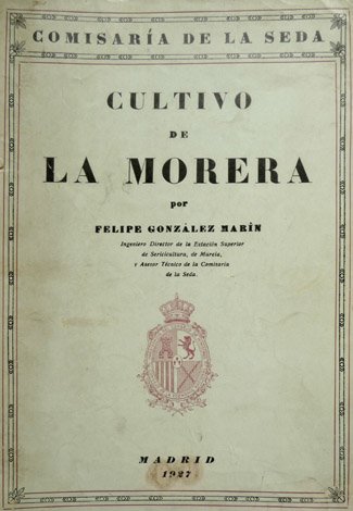 Cultivo de la Morera.