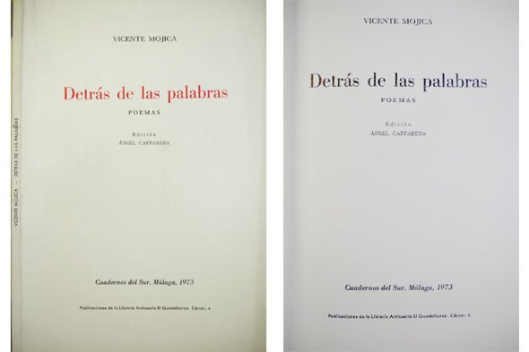 Detrás de las palabras. Poemas.