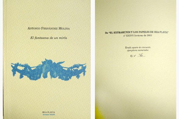 El fantasma de un mirlo.