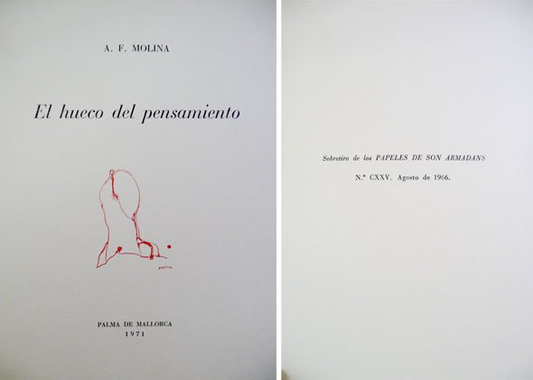 El hueco del pensamiento. Poemas.
