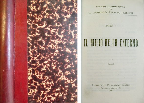 El idilio de un enfermo. Novela.