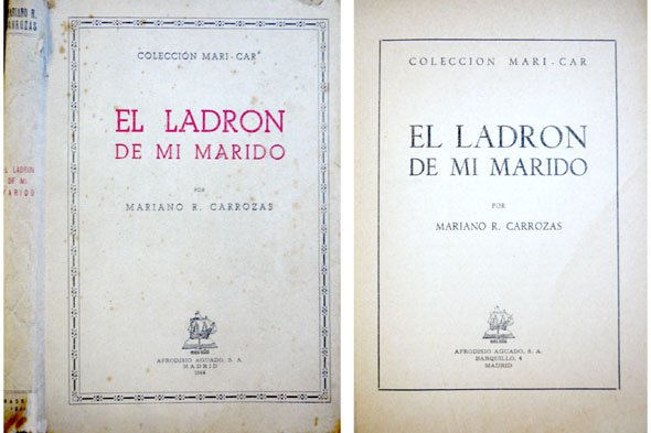 El ladrón de mi marido.