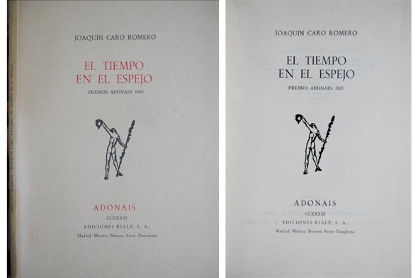 El tiempo en el espejo. Poemas.