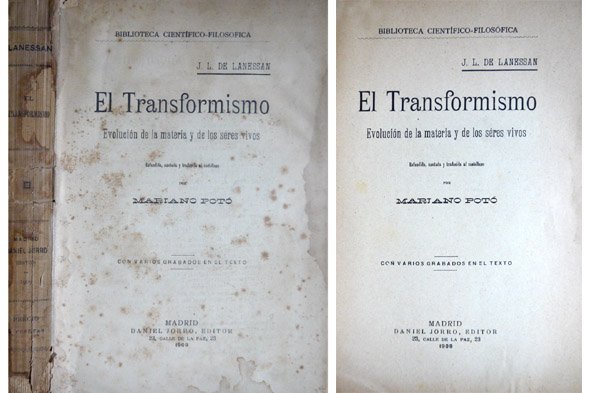 El Transformismo. Evolución de la materia y de los seres …