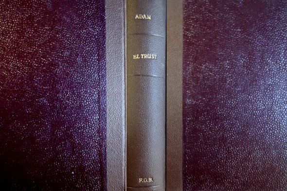 El Trust. Novela. Traducción de Enrique A. Leyra.