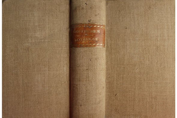 Elémens de Botanique. [I: Botanique Générale. II: Botanique Spéciale]. | Immagine principale