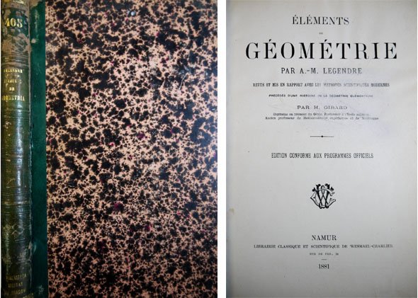 Eléments de Géométrie. Précédés d'une Histoire de la Géometrie Élémentaire …