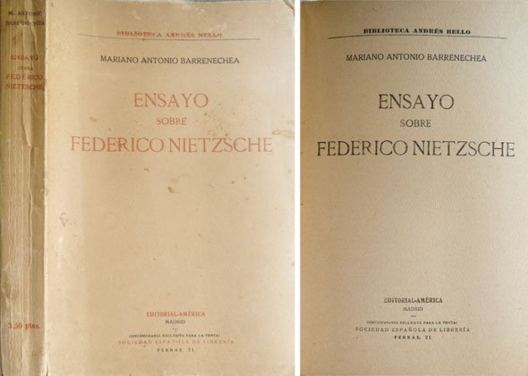 Ensayo sobre Federico Nietzsche. | Immagine principale