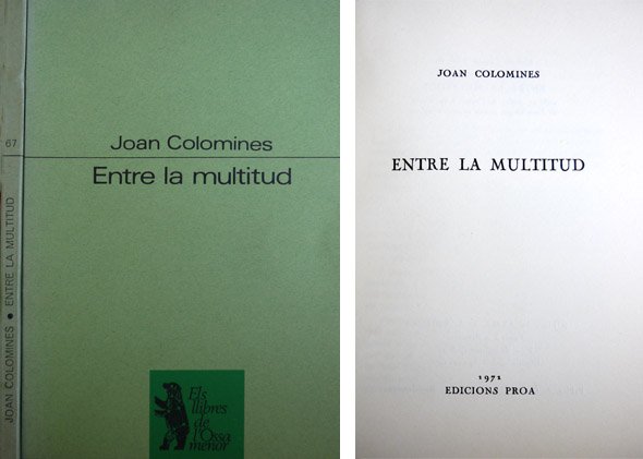 Entre la multitud.