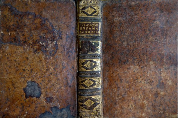 España Sagrada, VI. De la Santa Iglesia de Toledo en … | Immagine principale