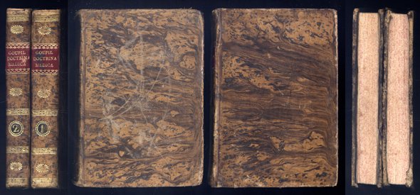 Esposicion (sic) de los principios de la nueva doctrina médica. …