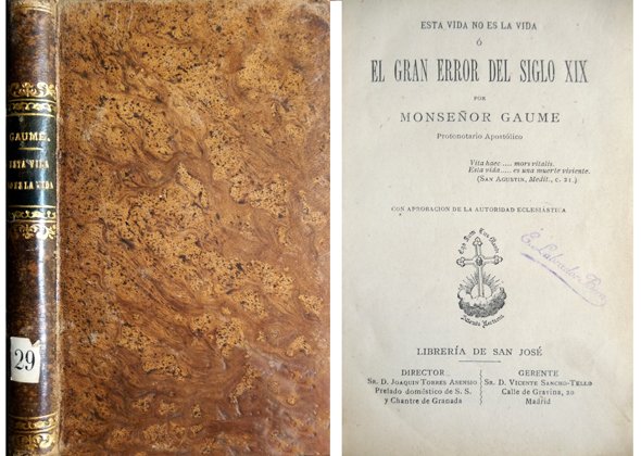 Esta vida no es la vida ó El gran error …
