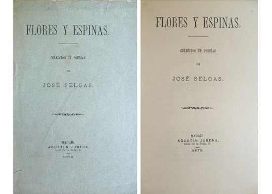 Flores y espinas. Colección de poesías.
