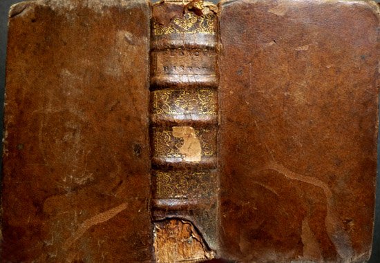 Flosculi Historiarum in Areolas suas distributi, per quos designantur Rerum … | Immagine principale