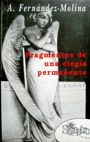 Fragmentos de una elegía permanente.