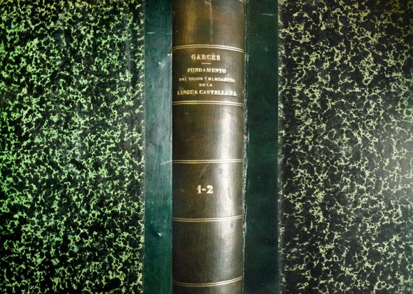 Fundamento del vigor y elegancia de la Lengua Castellana, expuesto …