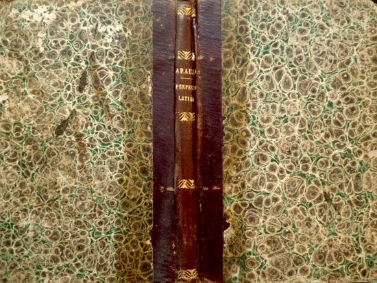 Guía del Perfecto Latino.