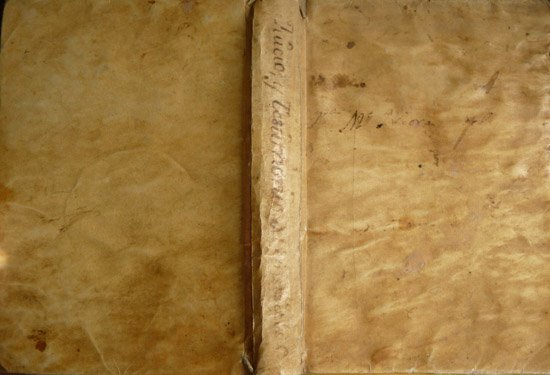 Juicio y testimonios legítimos sobre el Instituto y Ministerios de …