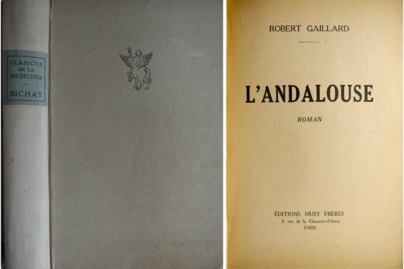 L'Andalouse. Roman.