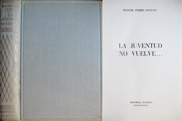 La juventud no vuelve. Novela de la guerra.
