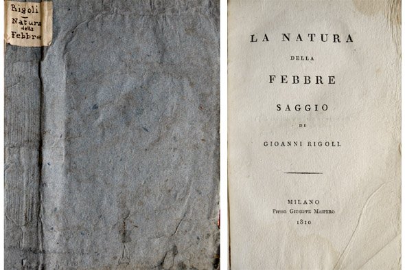 La Natura della Febbre. Saggio.