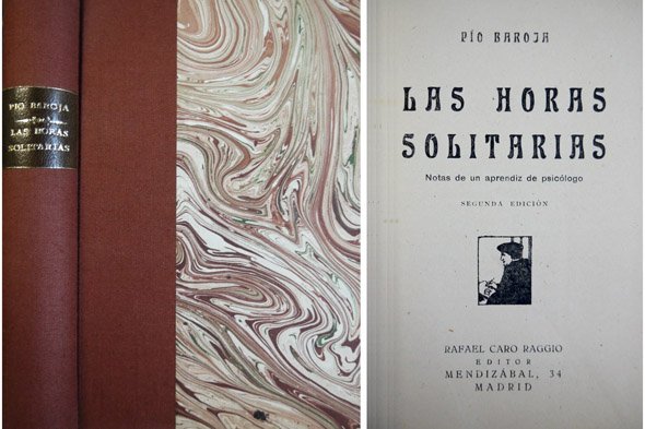 Las horas solitarias. Notas de un aprendiz de psicólogo.
