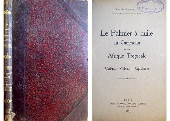 Le Palmier à Huile au Cameroun et en Afrique Tropicale. …