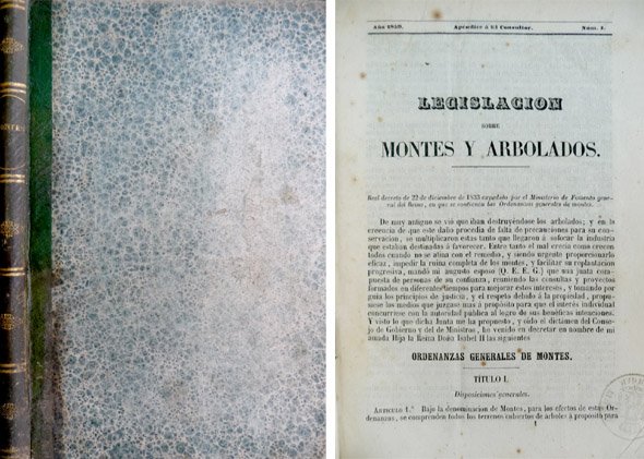 LEGISLACIÓN sobre Montes y Arbolados. [Apéndice a "El Consultor", 1].