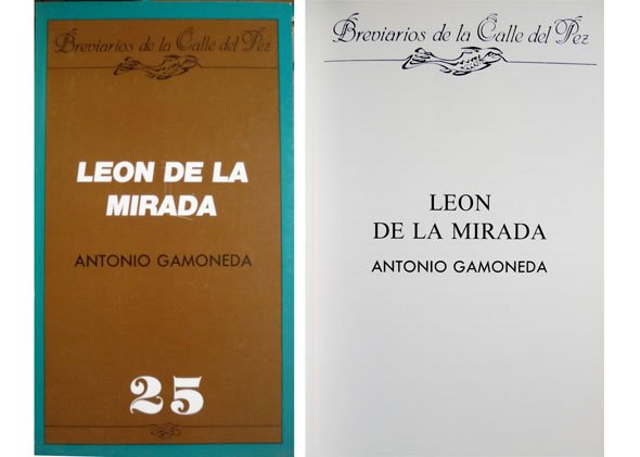 León de la mirada.