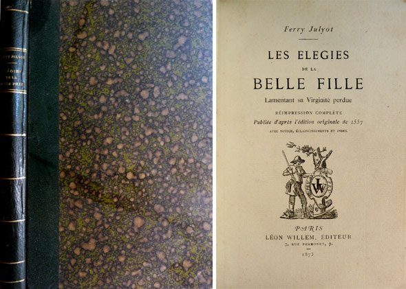 Les Élegies de la Belle Fille lamentant sa virginité perdue. … | Immagine principale