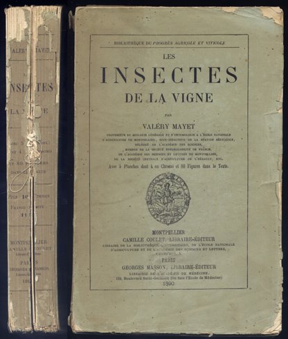 Les Insectes de la Vigne. | Immagine principale