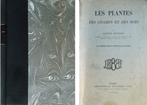 Les Plantes des Champs et des Bois.