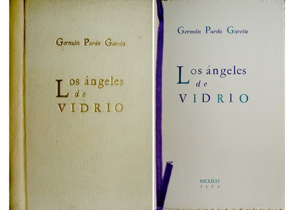 Los ángeles de vidrio. Poemas.