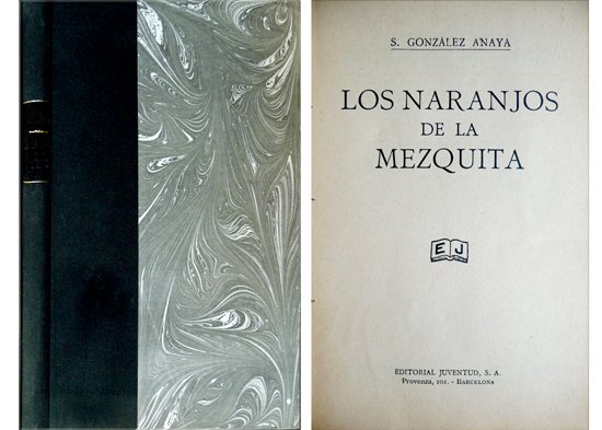 Los naranjos de la mezquita. Novela.