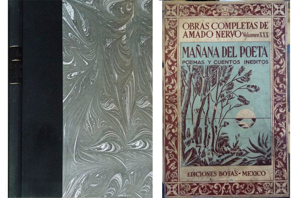 Mañana del Poeta. Páginas inéditas, publicadas y glosadas por Alfonso …