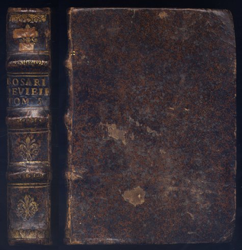 Maria, Rosa Mystica. Excellencias, poderes e maravilhas do seu Rosario, … | Immagine principale