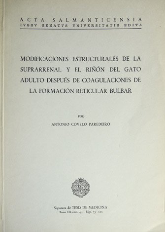 Modificaciones estructurales de la suprarenal y el riñón del gato …