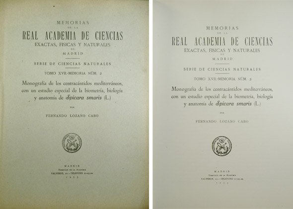 Monografía de los Centracántidos Mediterráneos, con un estudio especial de …